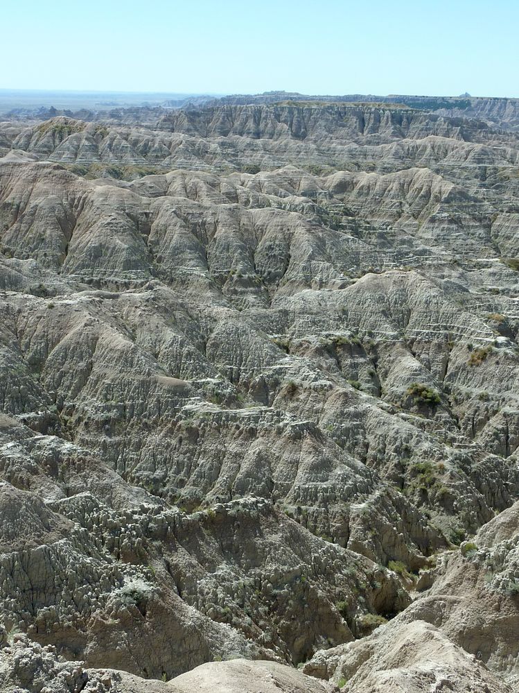 Badlands (67).JPG